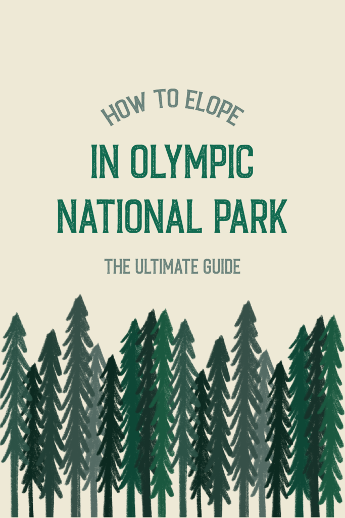 How To Elope In Olympic National Park The Ultimate Guide