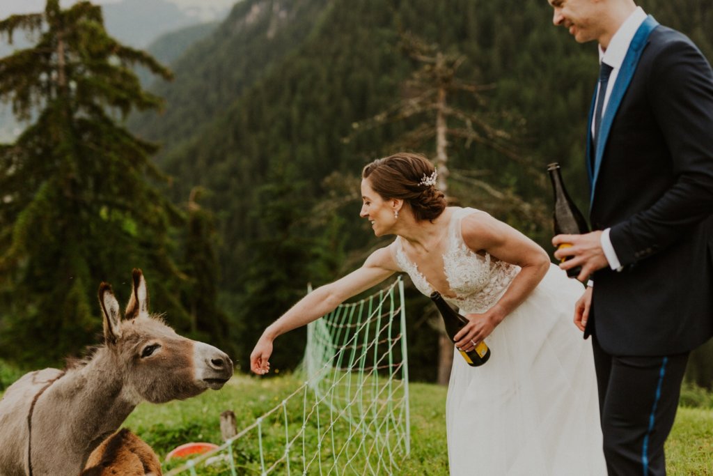 bride and groom with donkey