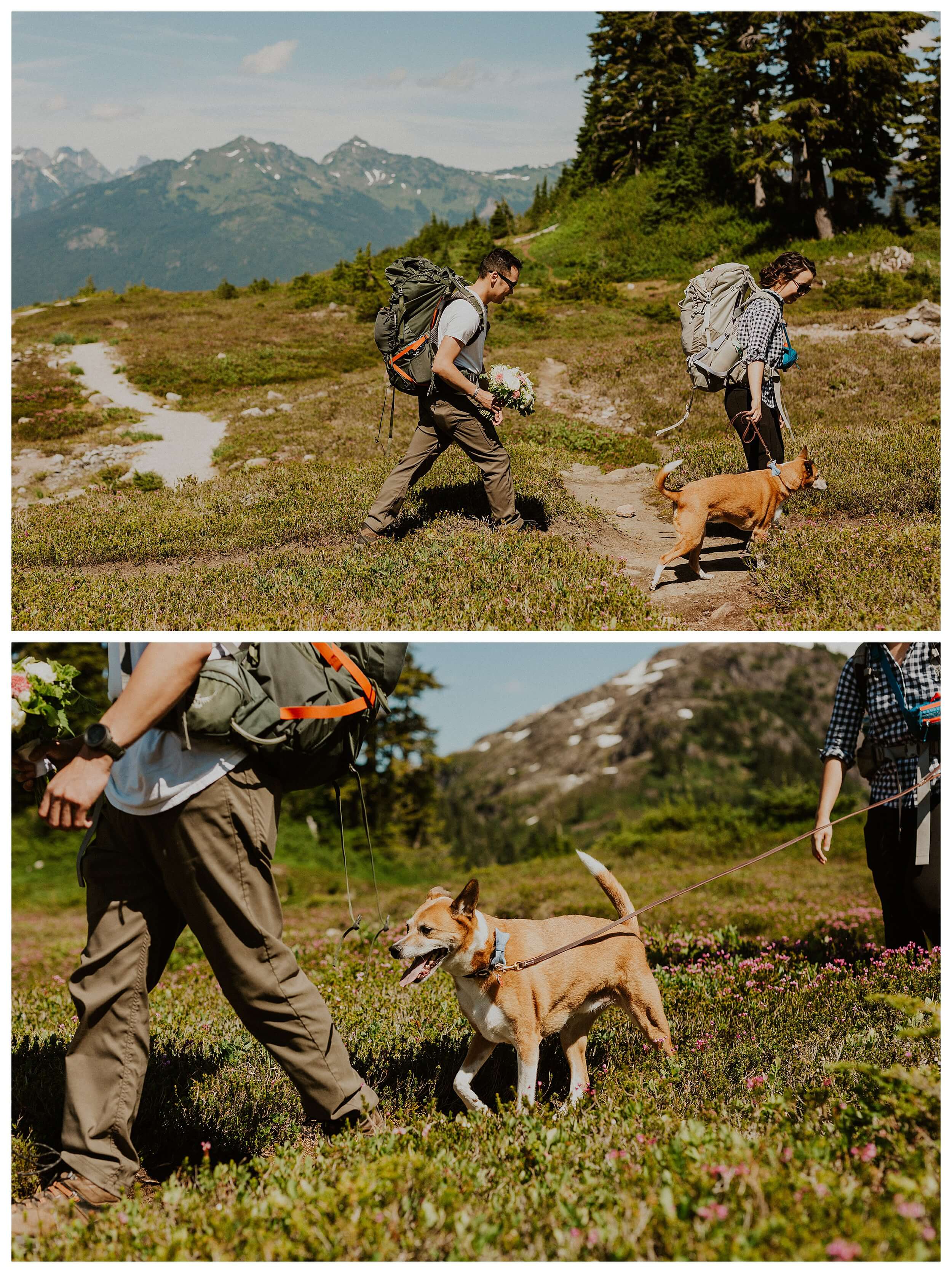 couple hiking with dog