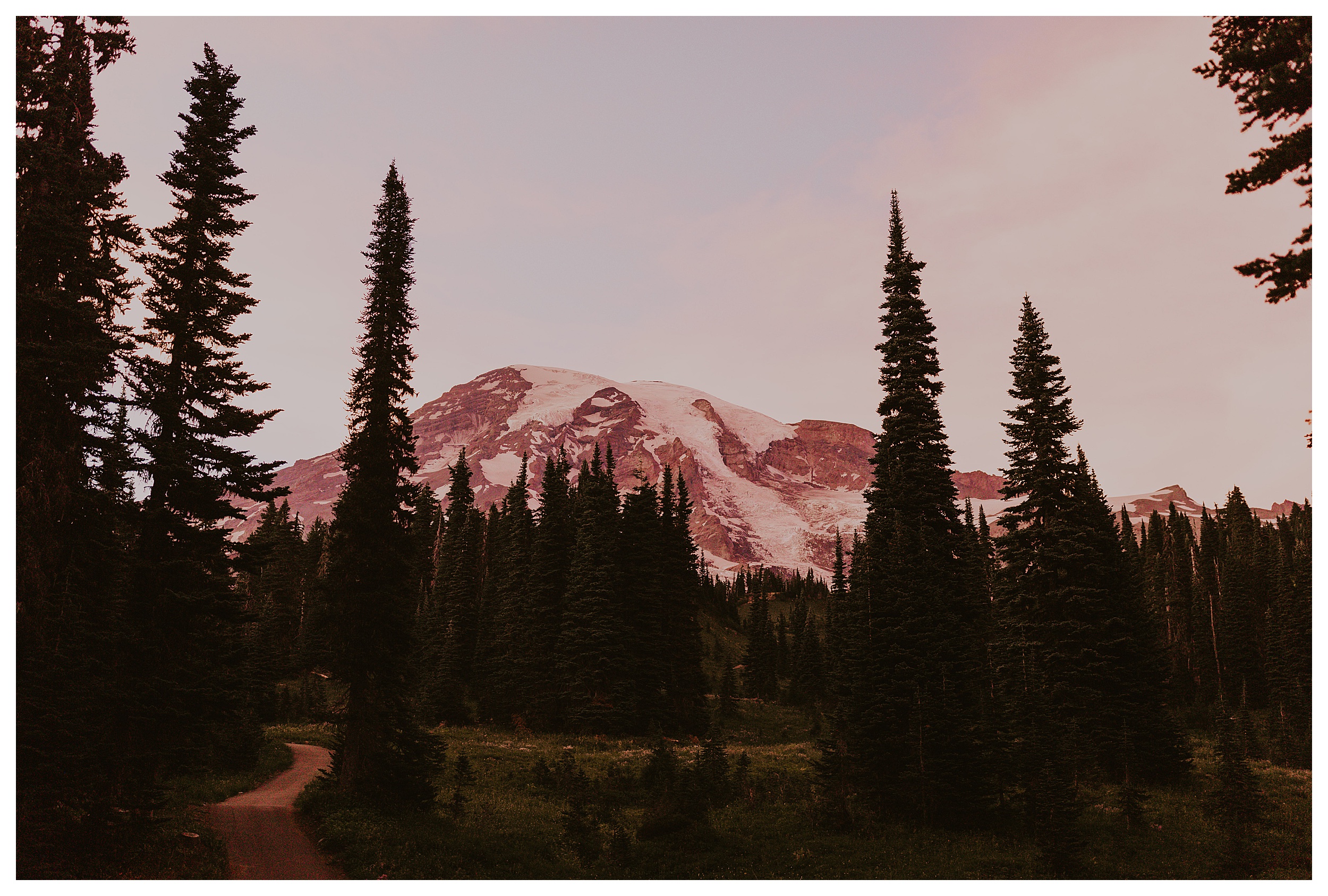 mountain forest landscape