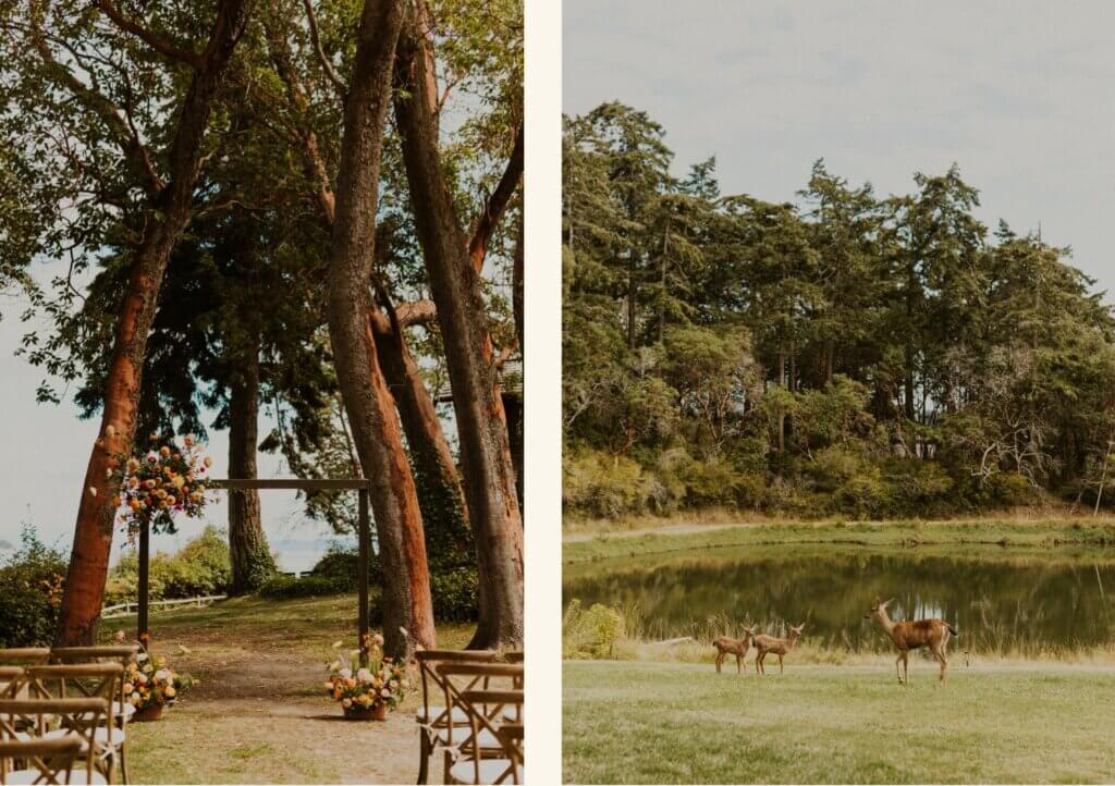 summer wedding at the captain whidbey inn floral arch and deer
